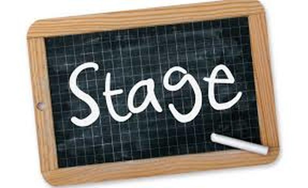 Stages en entreprises.